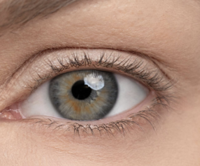 Zrzut ekranu 2026-03-20 o 09.36.23.png