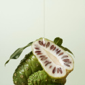 PURITO - Clear Code Superfruit Serum, 30ml - seboregulujące serum do twarzy